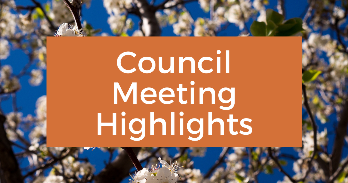 Council Meeting Highlights: January 2025 - Post Image